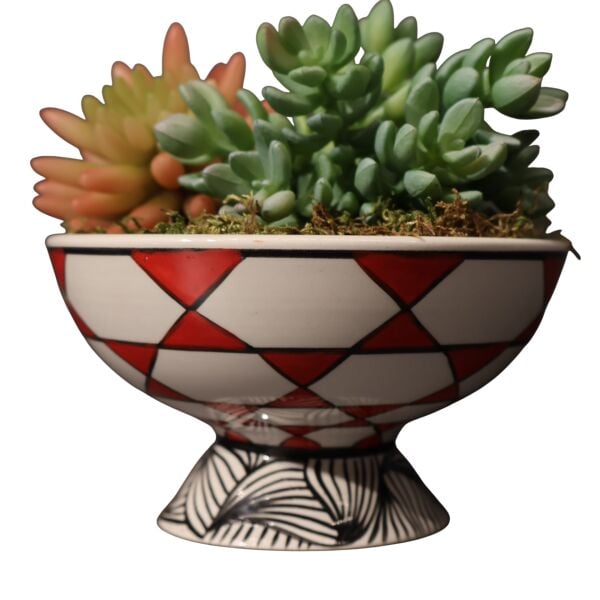 Sukulent Ayakl Kase Kırmızı Ottoman Kırmızı