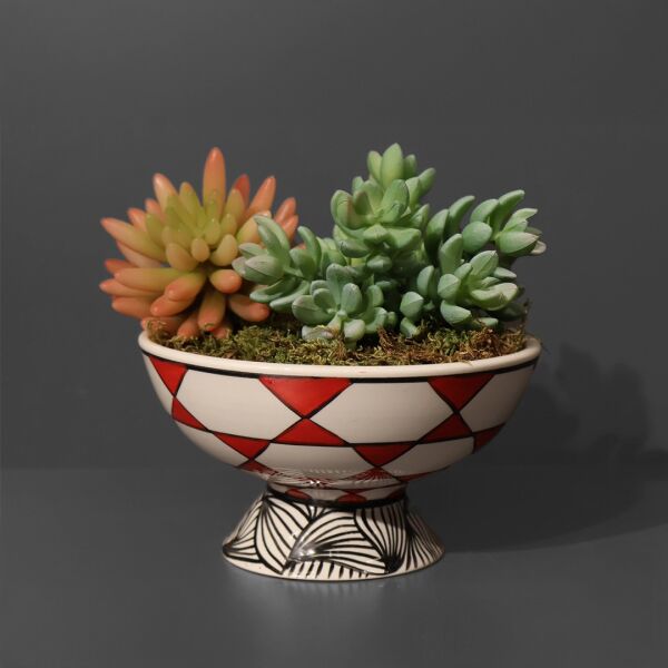 Sukulent Ayakl Kase Kırmızı Ottoman Kırmızı