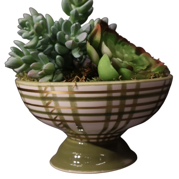 Sukulent Ayakl Kase Kırmızı Ottoman Yeşil