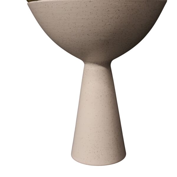 Sukulent Huni Kase Beyaz