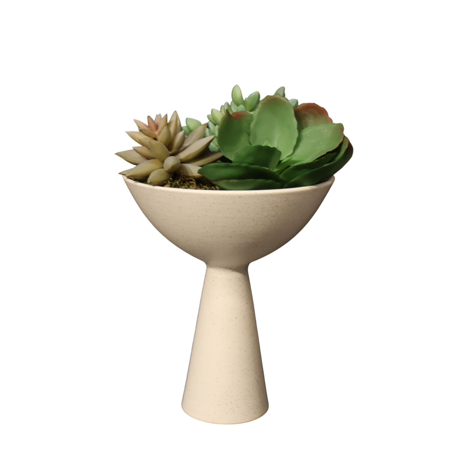 Sukulent Huni Kase Beyaz Beyaz