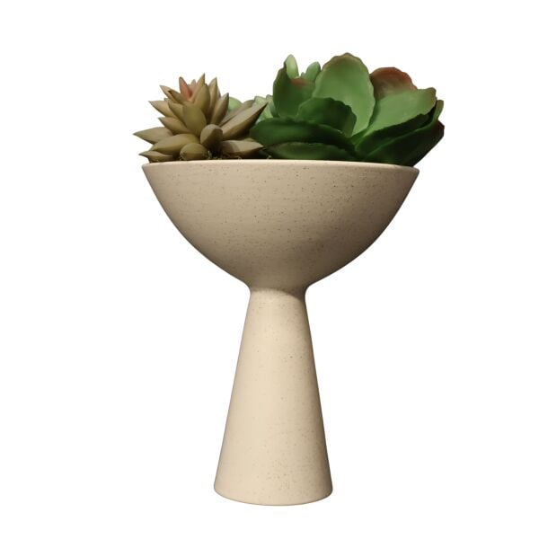 Sukulent Huni Kase Beyaz Beyaz