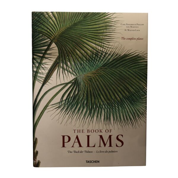 Palms