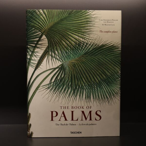Palms
