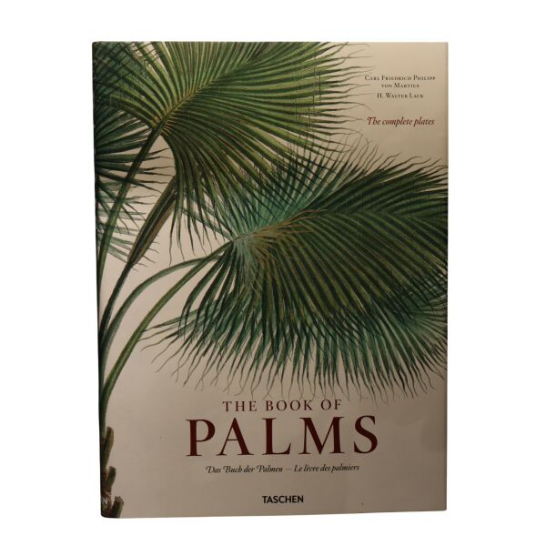 Palms