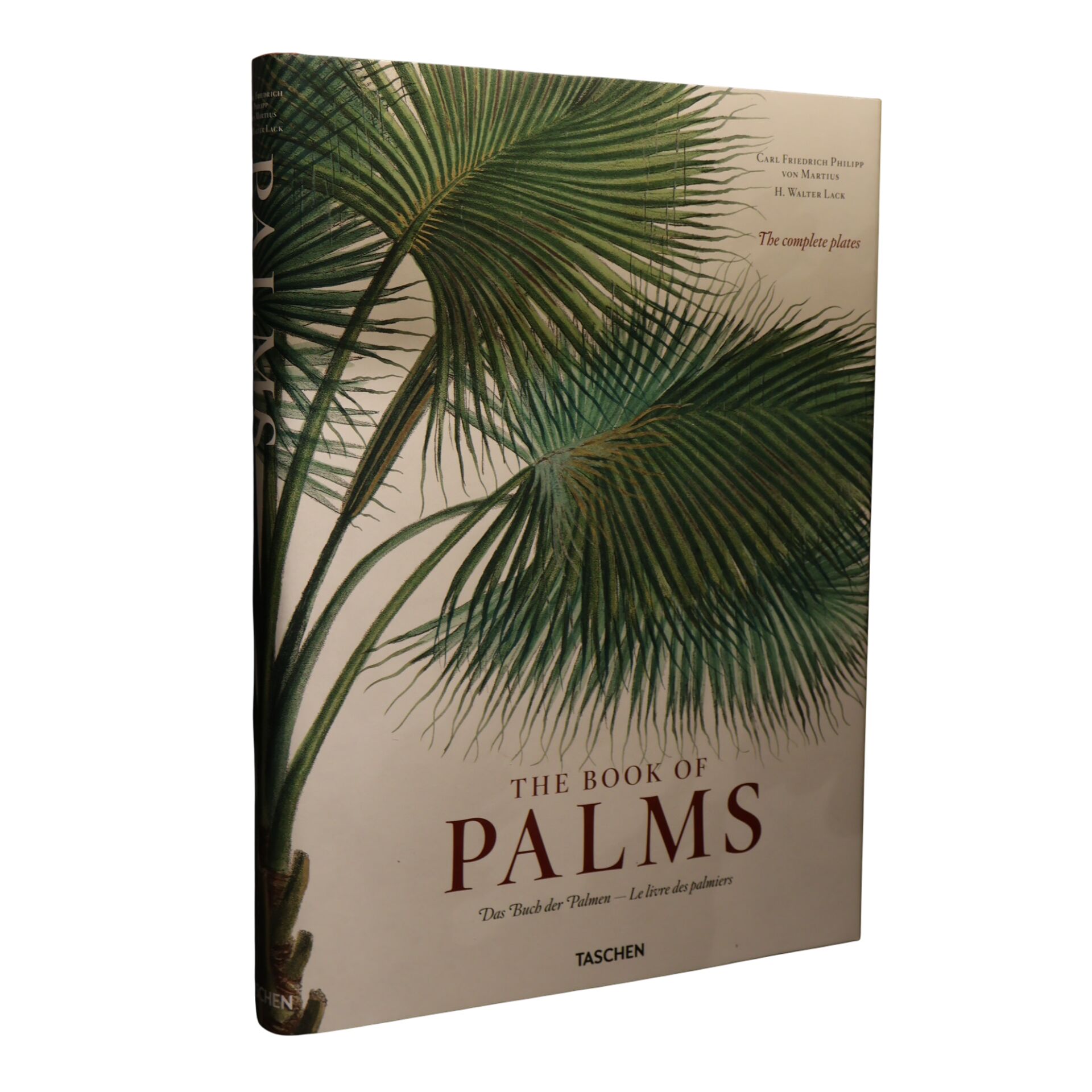 Palms