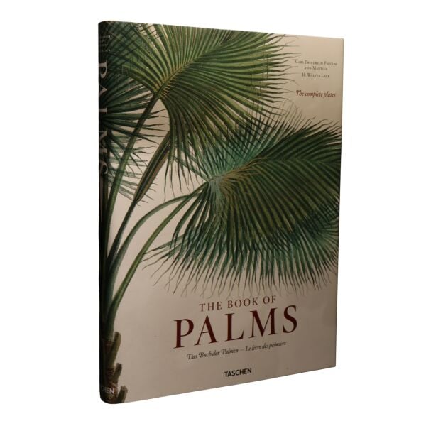 Palms