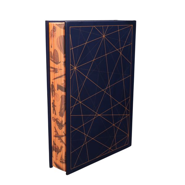 Extraordınary Voyages