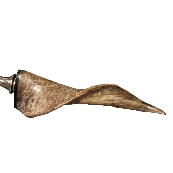 Boynuz Büyüteç Büyük