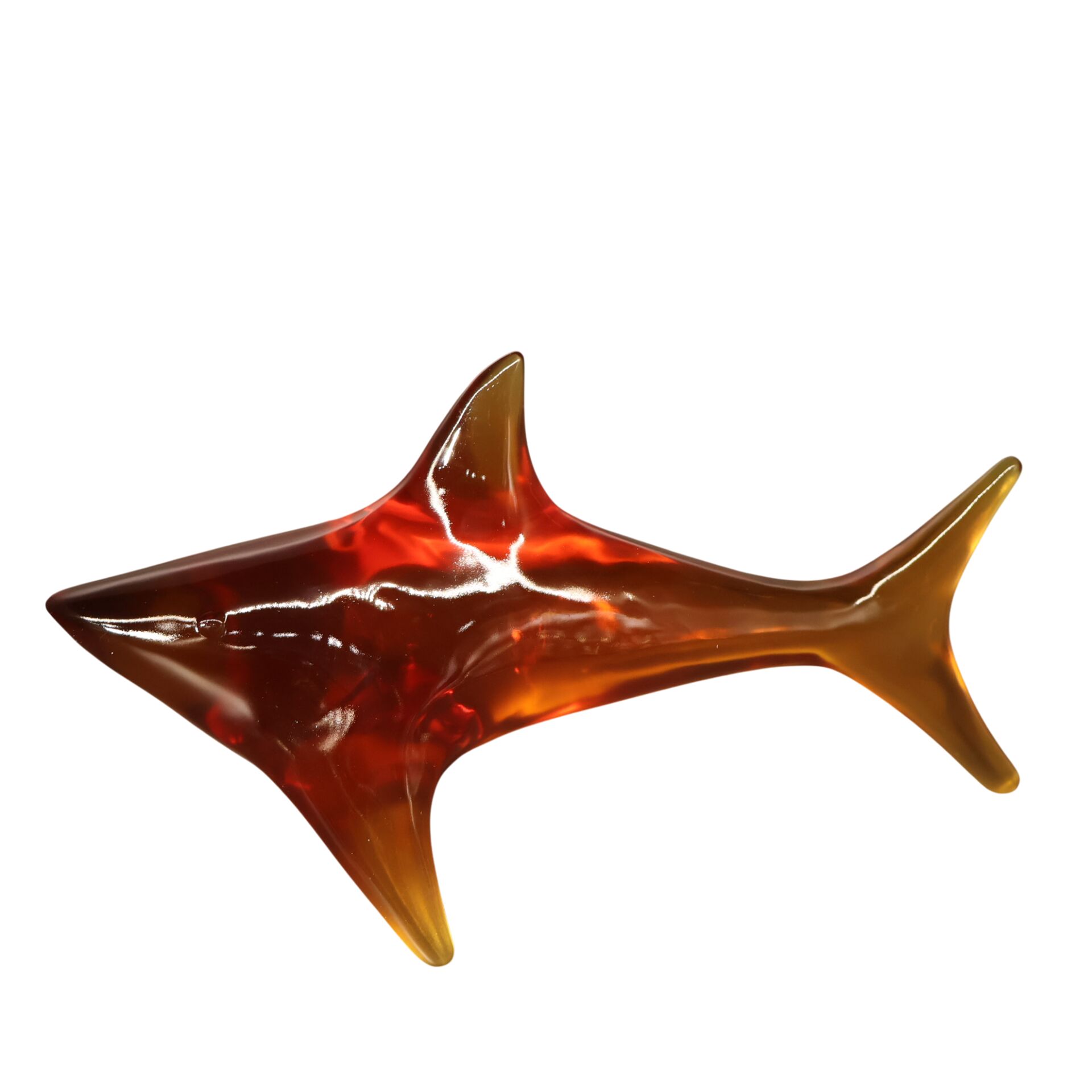 Reçine Köpek Balığı Amber