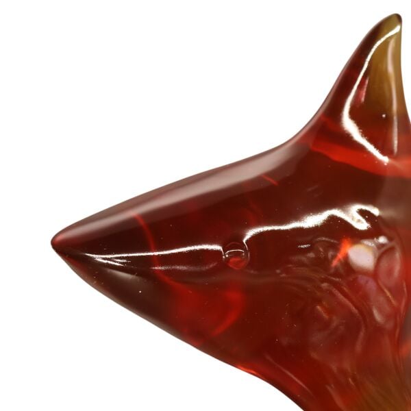 Reçine Köpek Balığı Amber