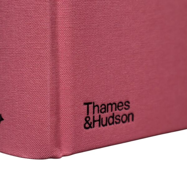 Yes Saınt Laurent Catwalk