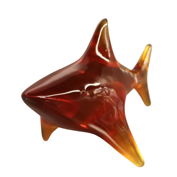 Reçine Köpek Balığı Amber Amber