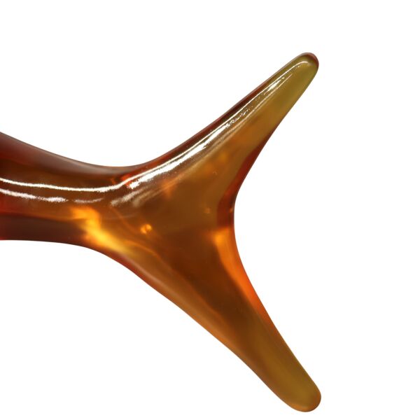 Reçine Köpek Balığı Amber Amber