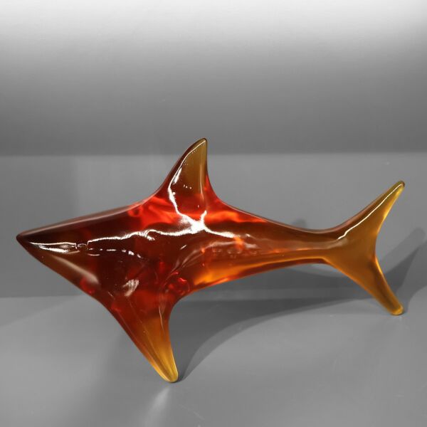 Reçine Köpek Balığı Amber Amber