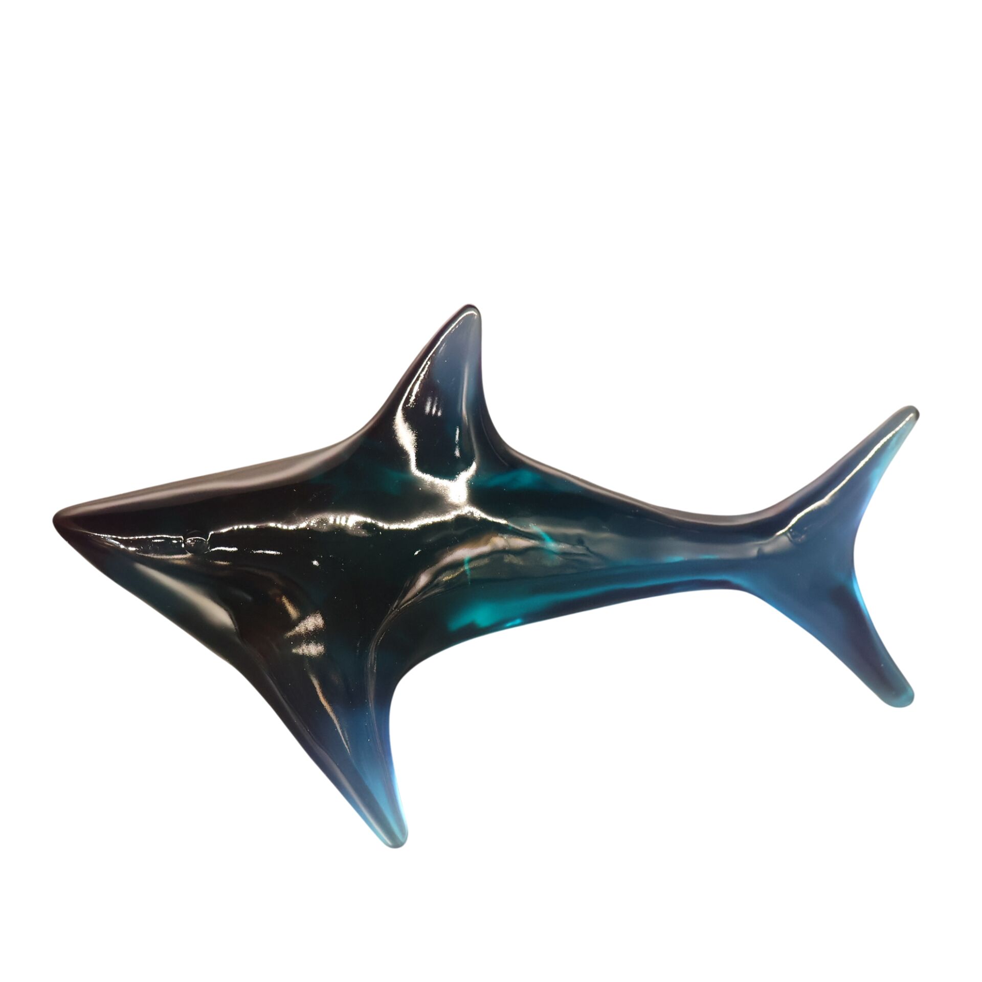 Reçine Köpek Balığı Amber Mavi