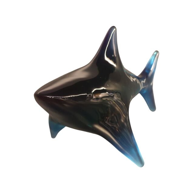 Reçine Köpek Balığı Amber Mavi