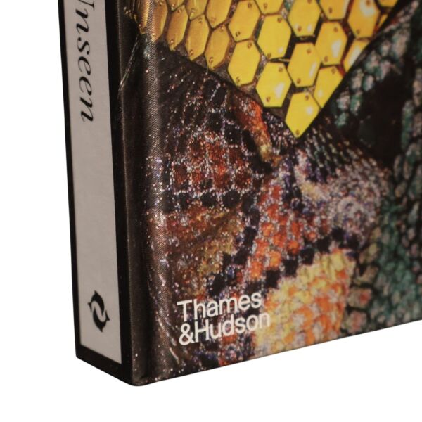 Alexander Mc Queen Unseen