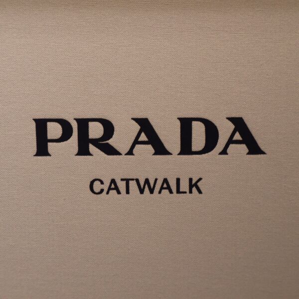 Prada Catwalk