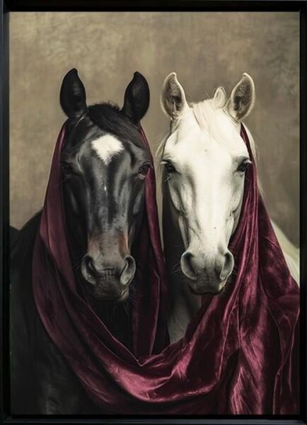 Siyah Beyaz Mürdüm At Basamak Çerçeve 2'li Tablo