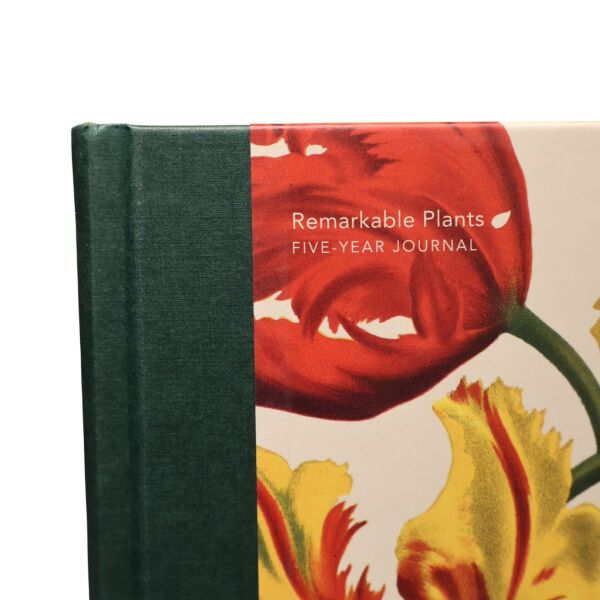Remarkable Plants