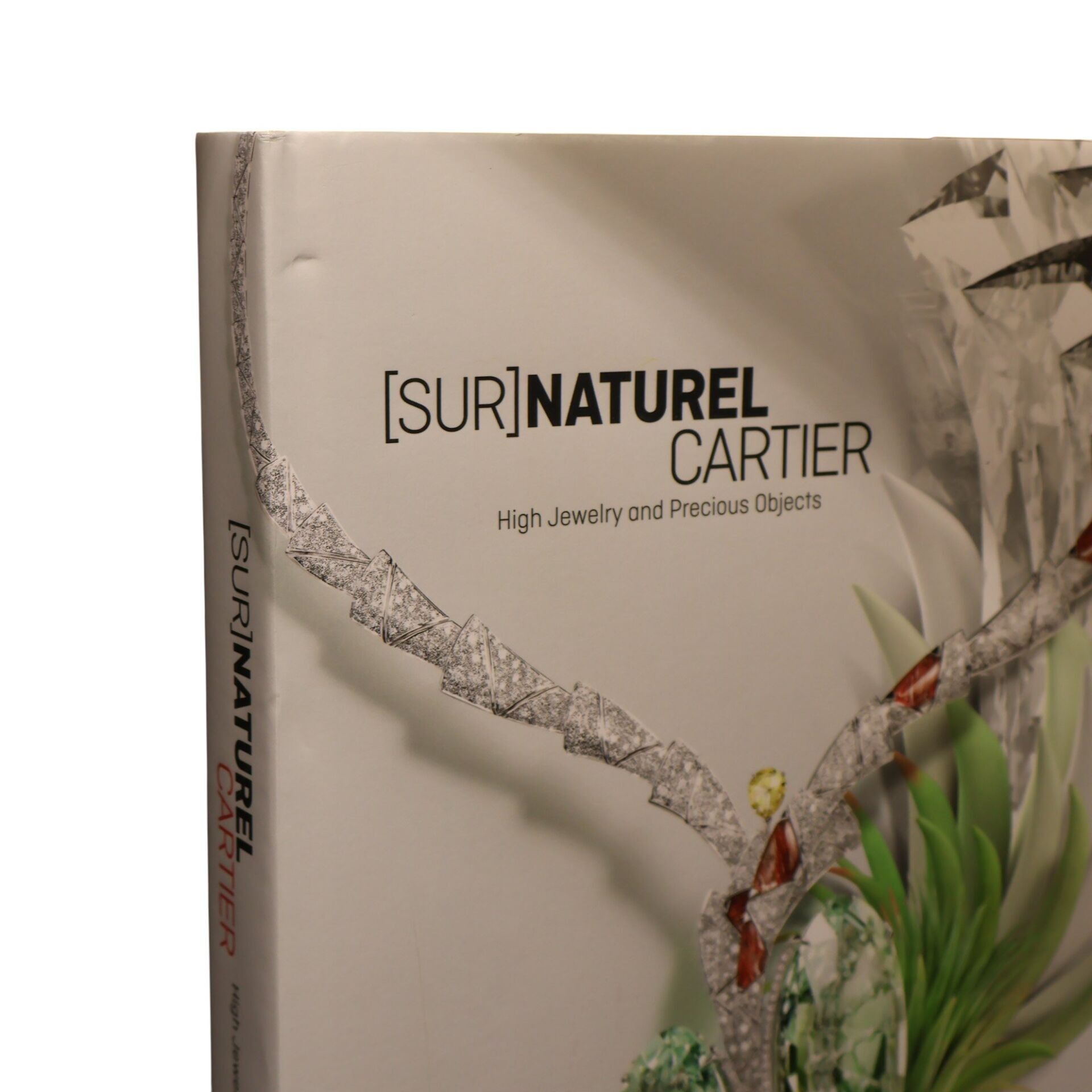 Sur Naturel Cartıer
