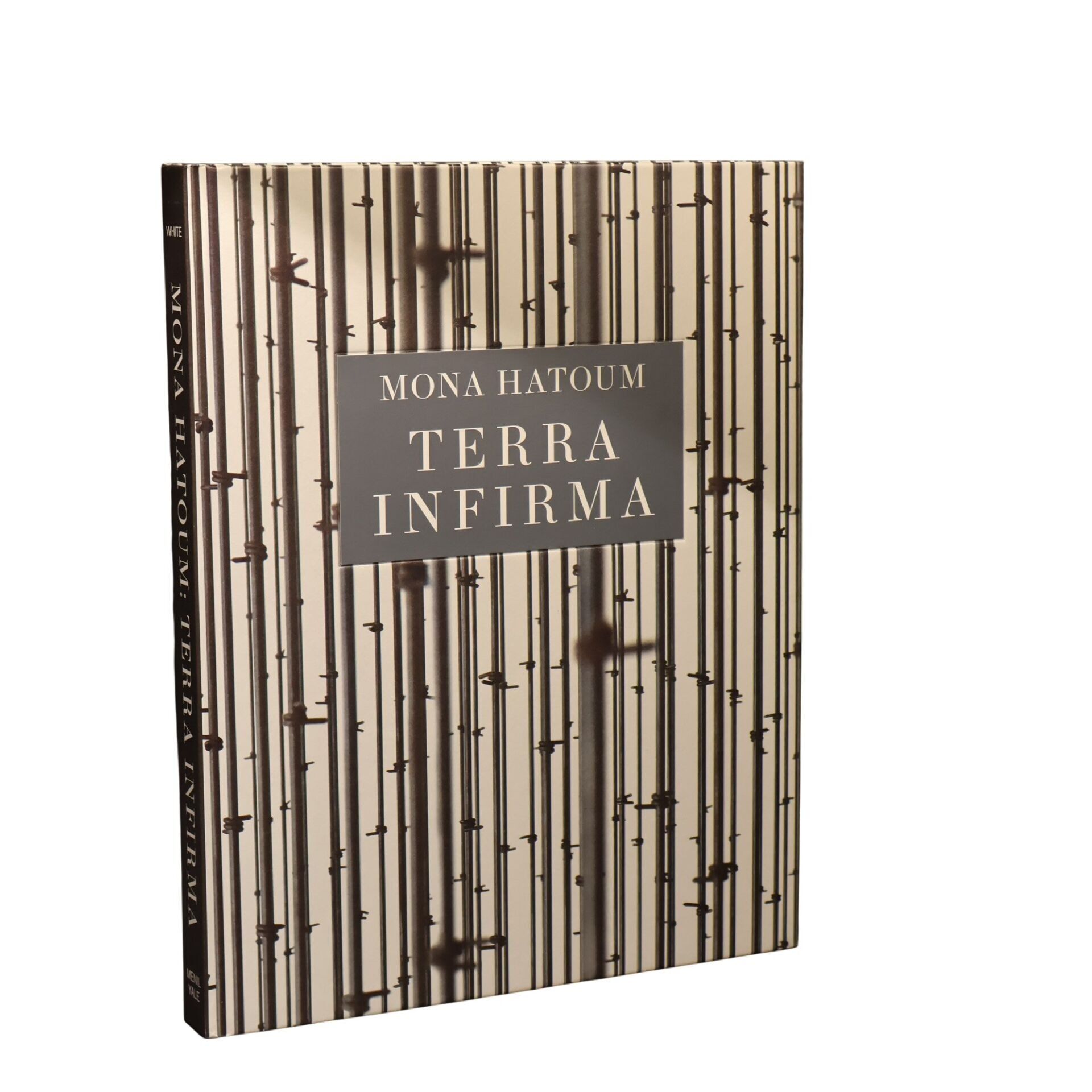 MONA HATOUM TERRA INFIRMA