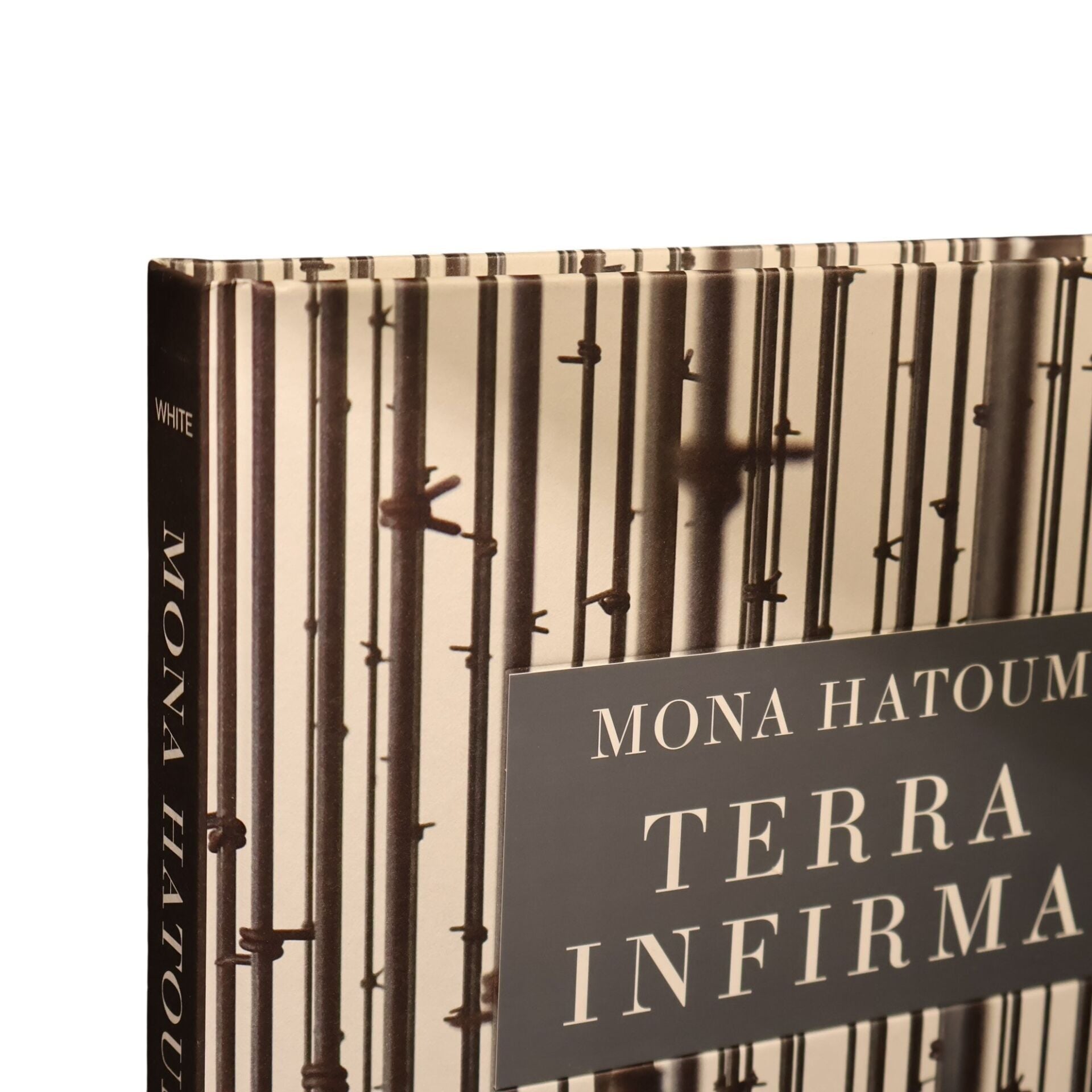 Mona Hatoum Terra Infırma