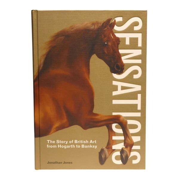 Sensatıons