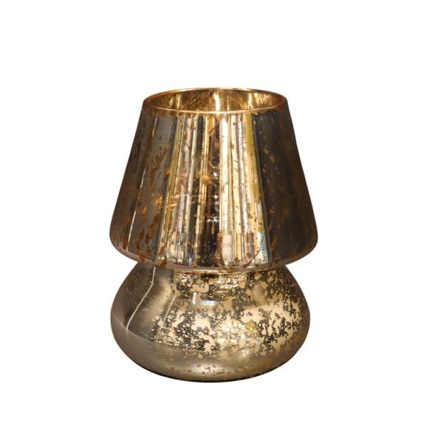 Leopar Gold Mum Mantar