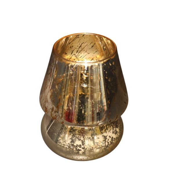 Leopar Gold Mum Mantar