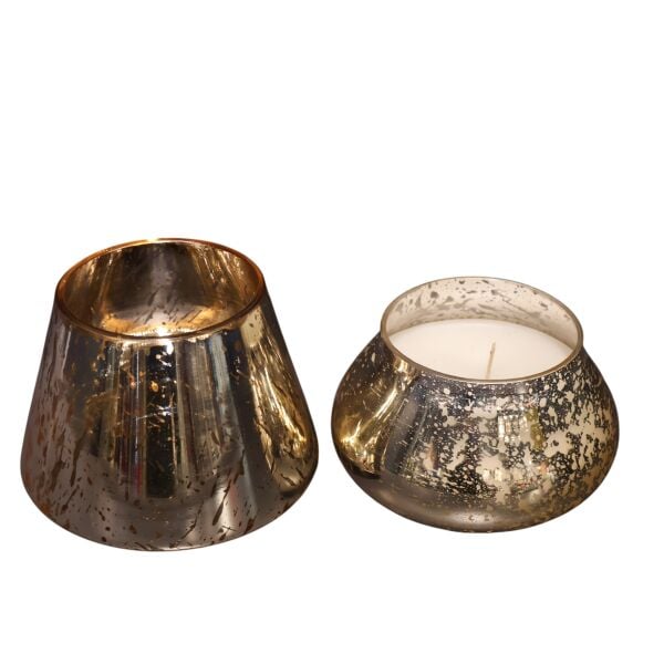 Leopar Gold Mum Mantar