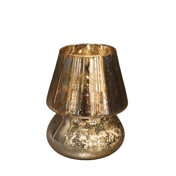 Leopar Gold Mum Mantar