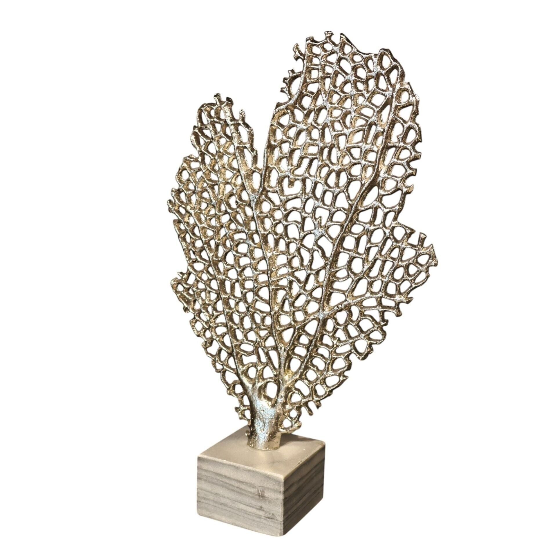 Soy Ağacı Gümüş Küçük