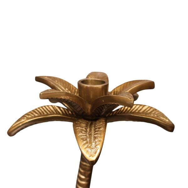 Palmes 2'li Mumluk Set