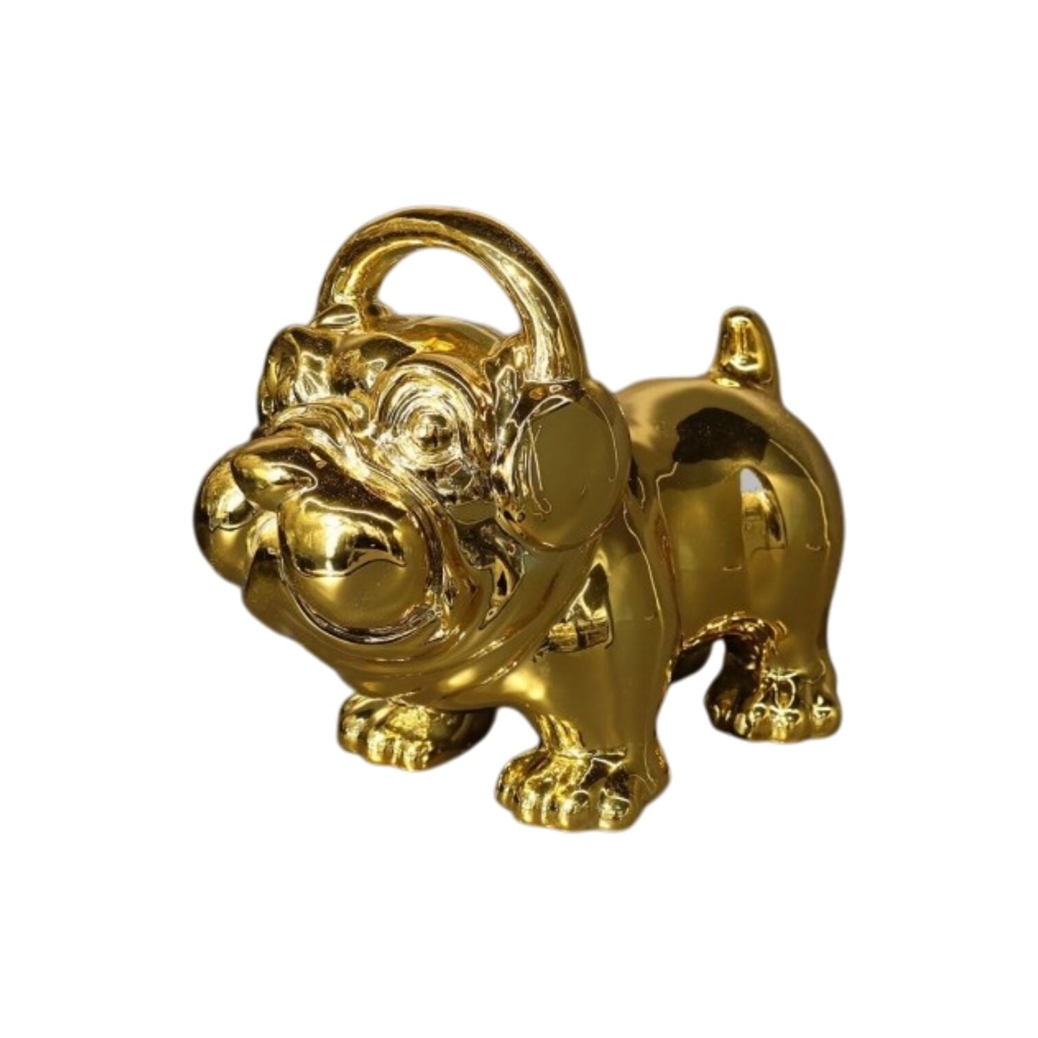 Bulldog Mavi Obje Gold