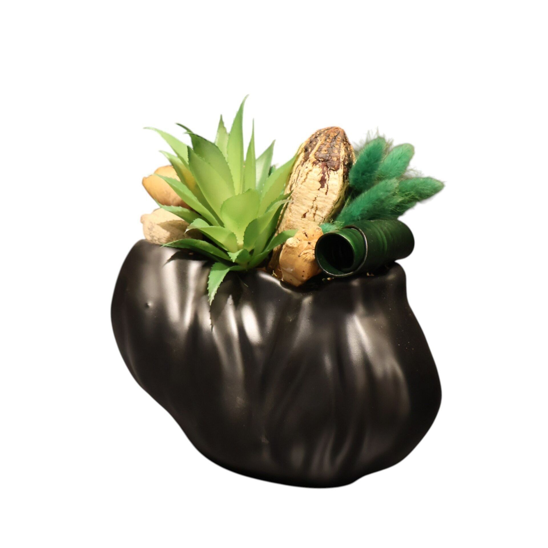 Mat Siyah Asimetrik Saksılı Sukulent