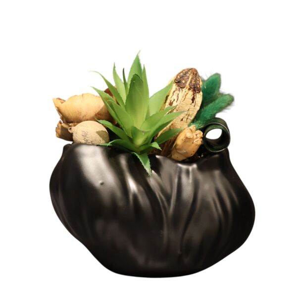 Mat Siyah Asimetrik Saksılı Sukulent