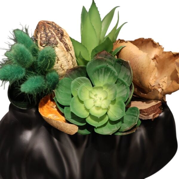 Mat Siyah Asimetrik Saksılı Sukulent