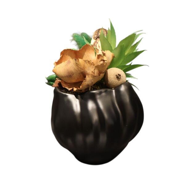 Mat Siyah Asimetrik Saksılı Sukulent