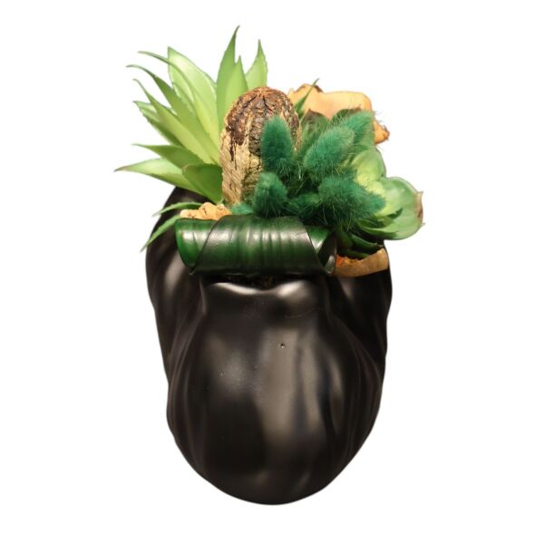 Mat Siyah Asimetrik Saksılı Sukulent