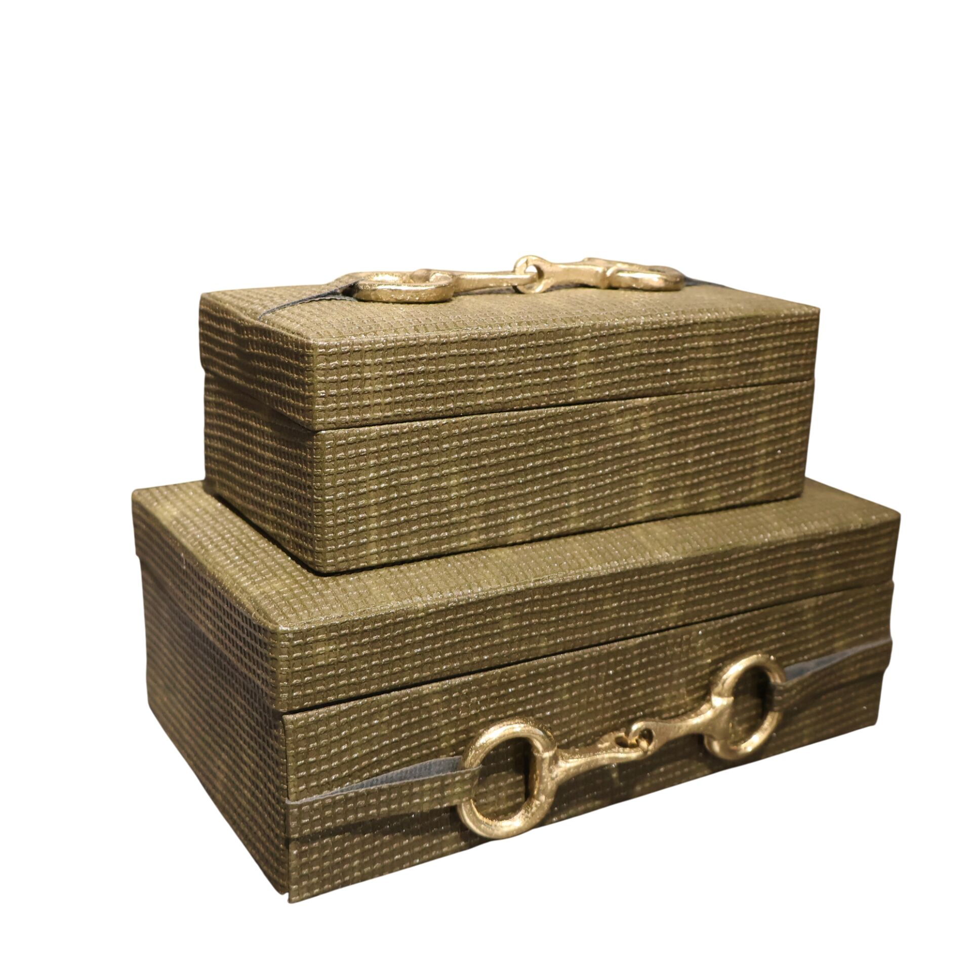 Timsah Derisi Haki Tokalı Deri İklili Kutu