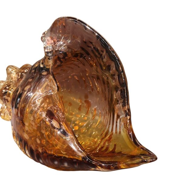 Mavi Sarı Deniz Kabuğu Büyük Amber-Mor
