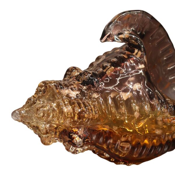 Mavi Sarı Deniz Kabuğu Büyük Amber-Mor
