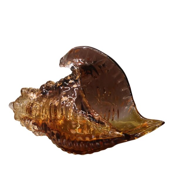Mavi Sarı Deniz Kabuğu Büyük Amber-Mor