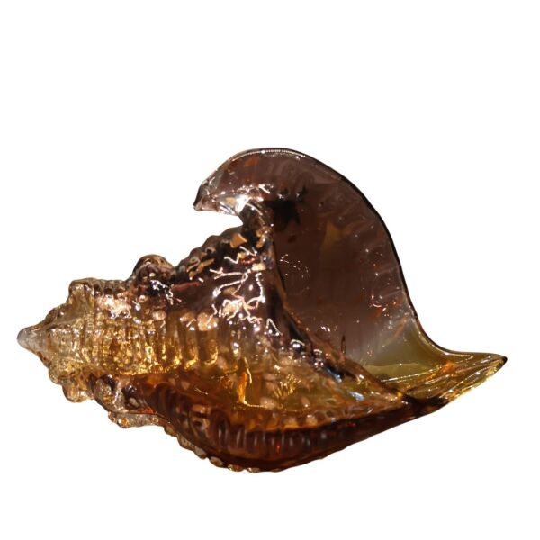 Mavi Sarı Deniz Kabuğu Büyük Amber-Mor