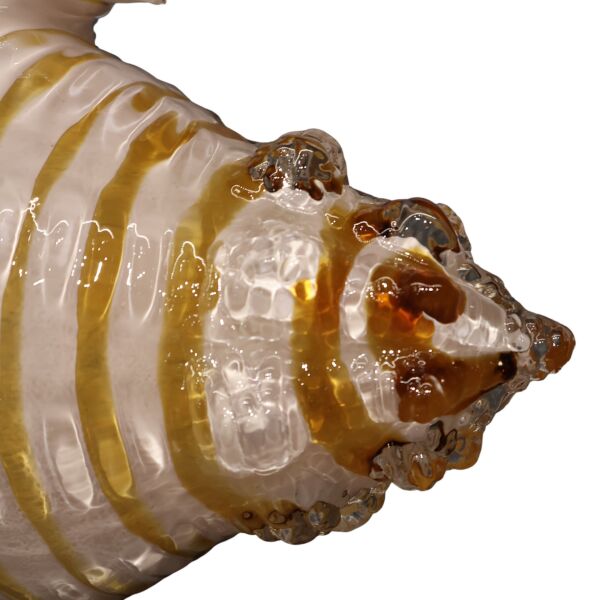 Mavi Sarı Deniz Kabuğu Büyük Amber-Pembe