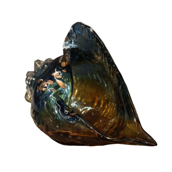 Mavi Sarı Deniz Kabuğu Büyük Mavi-Sarı