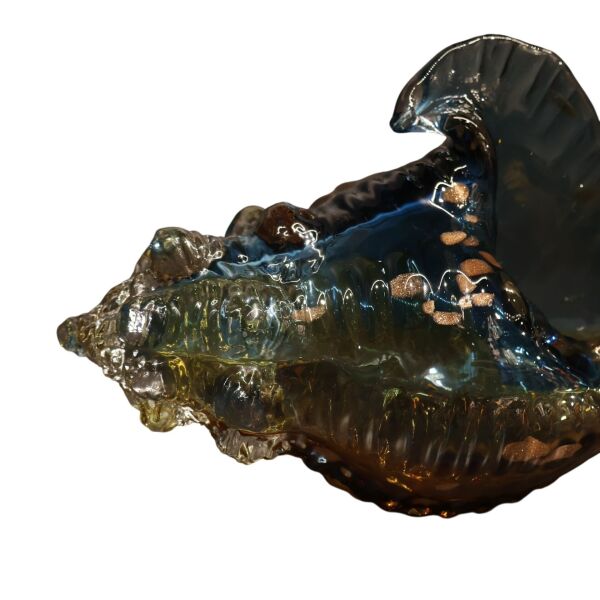 Mavi Sarı Deniz Kabuğu Büyük Mavi-Sarı