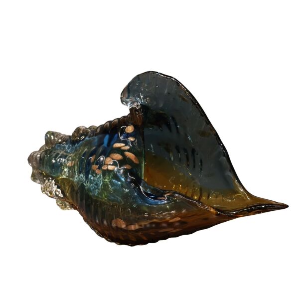 Mavi Sarı Deniz Kabuğu Büyük Mavi-Sarı